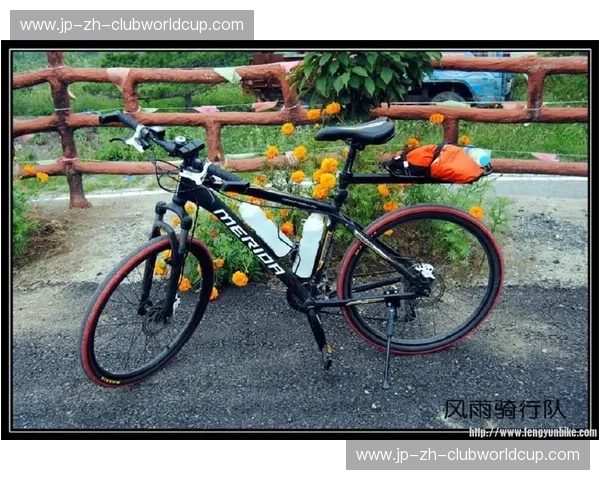 公路自行车转会风云：骑行世界的重塑与机遇